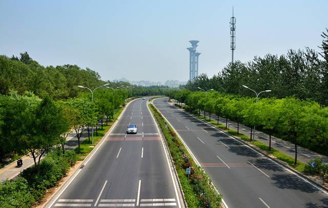 道路绿化养护