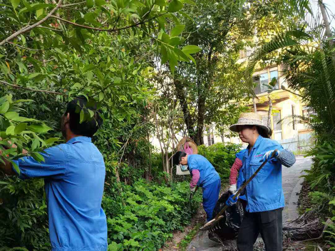 小区绿化养护清理垃圾