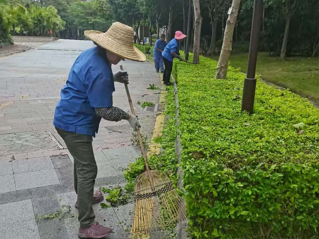 小区绿化养护修剪