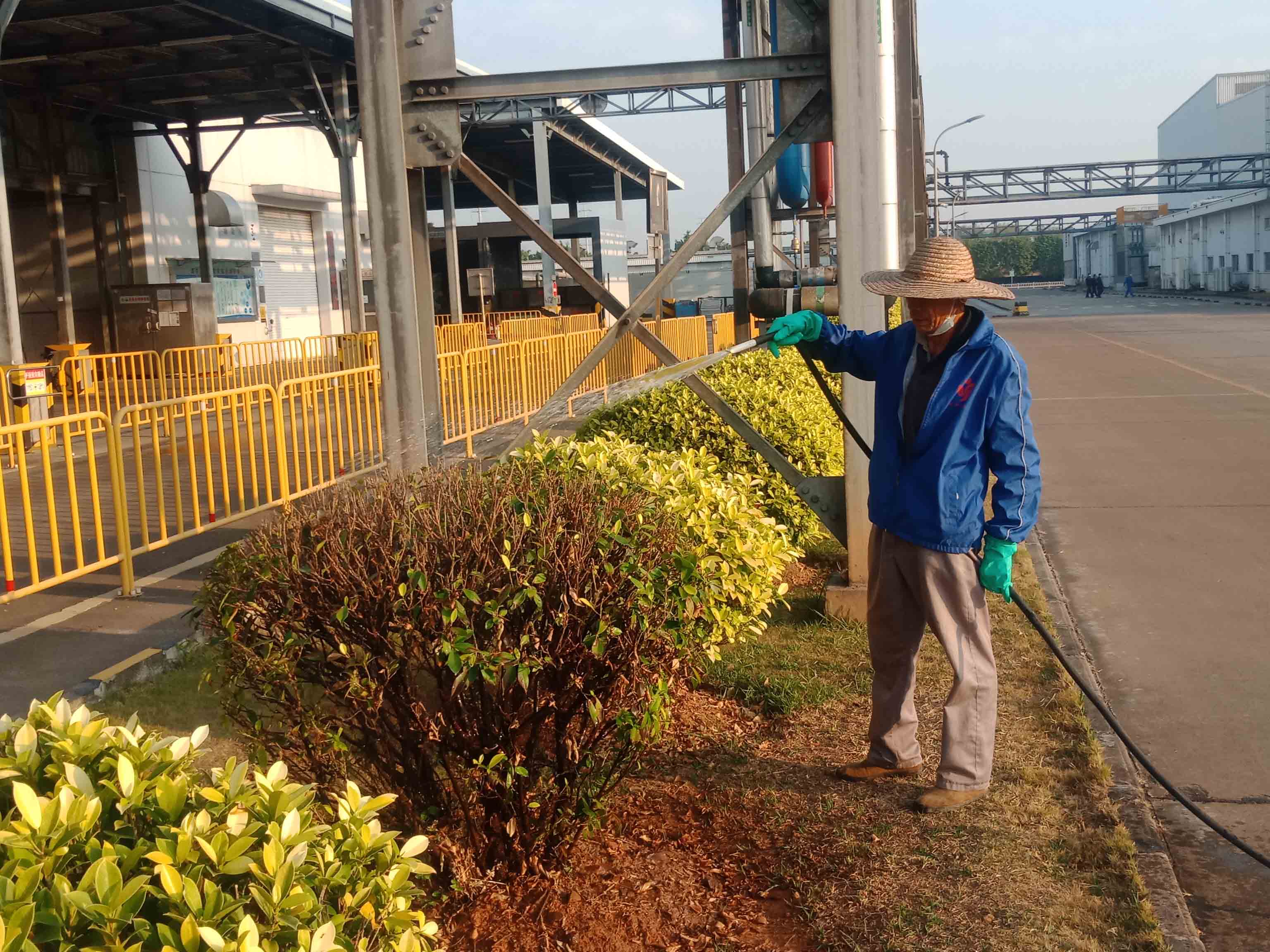 工厂绿化养护浇水