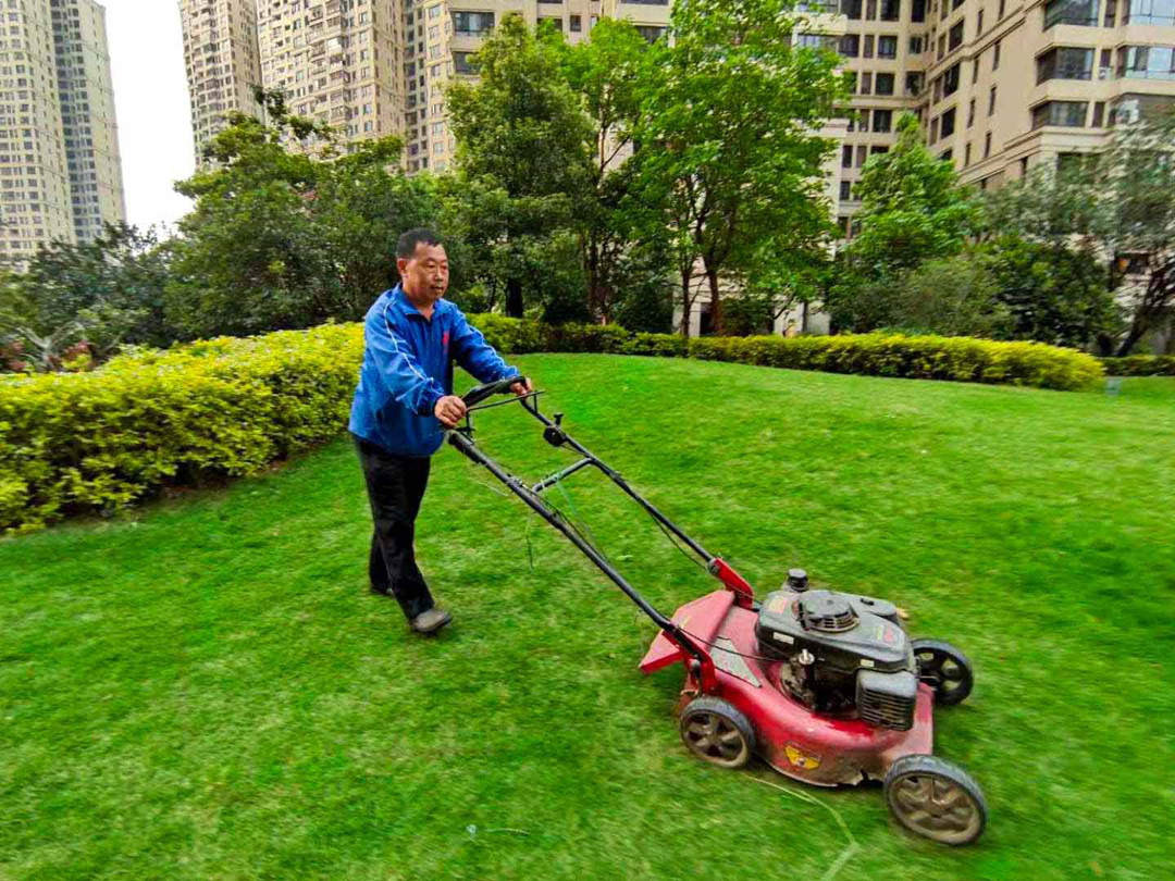 怡轩园林绿化公司工人修剪草坪