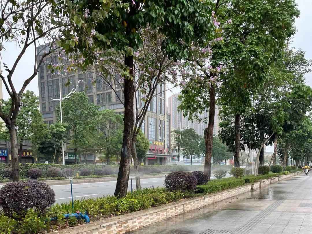绿化养护行道树浇灌
