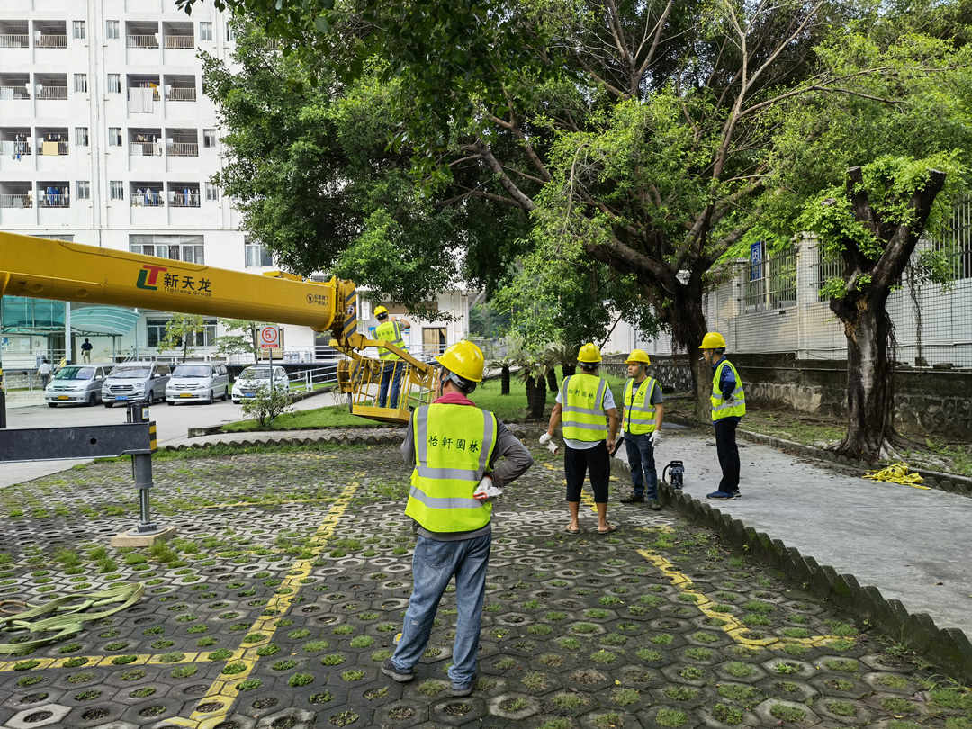 怡轩园林绿化公司修剪树木