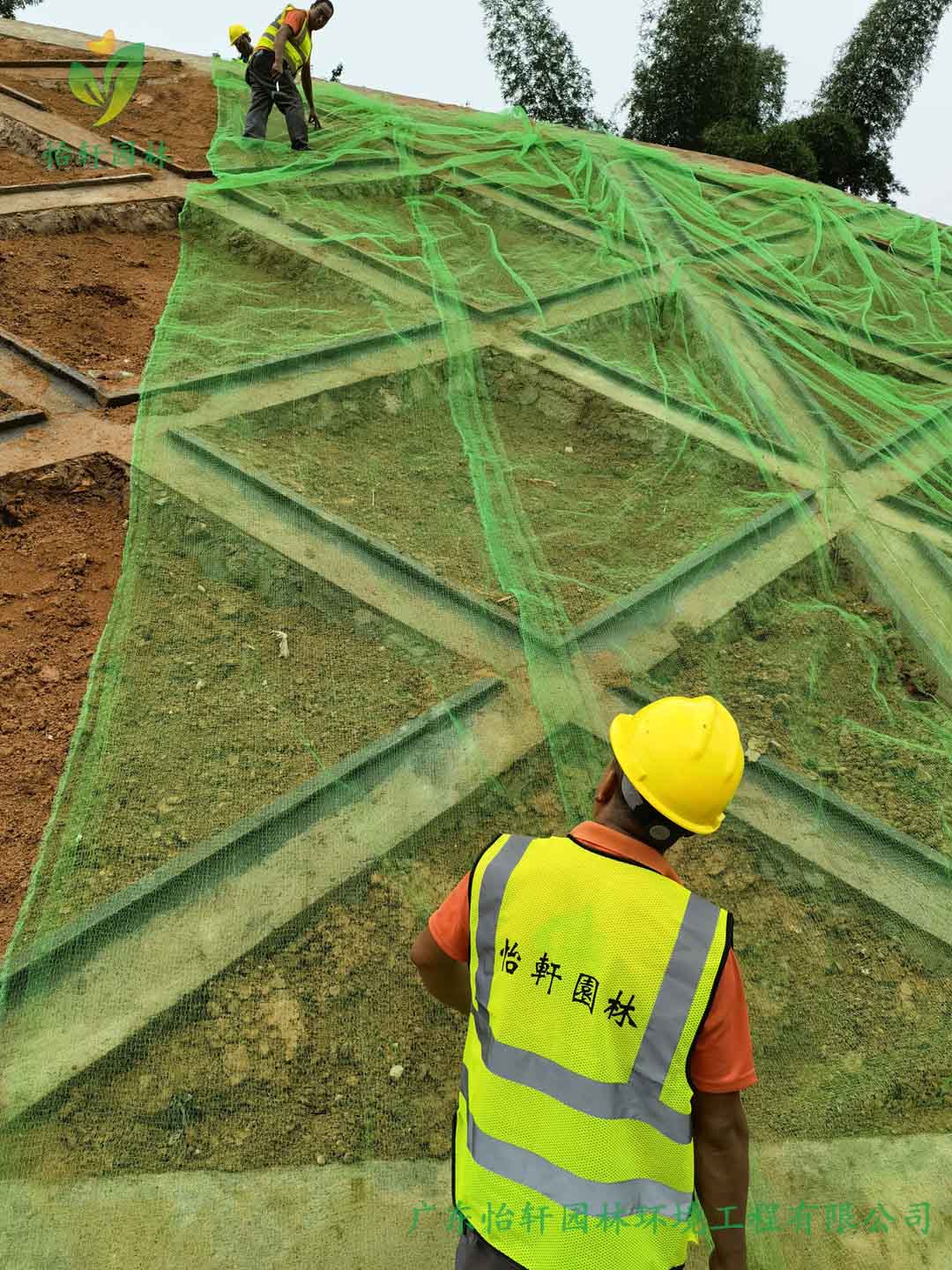 边坡绿化工程挂三维网