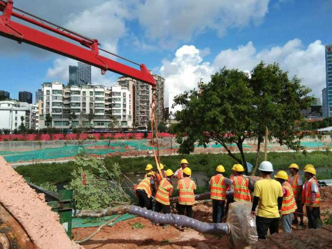 园林绿化工程施工 园林绿化工程施工