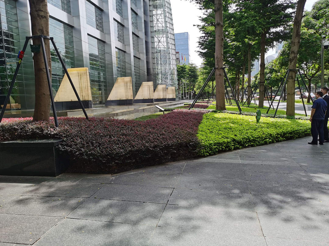园林绿化工程苗木支撑