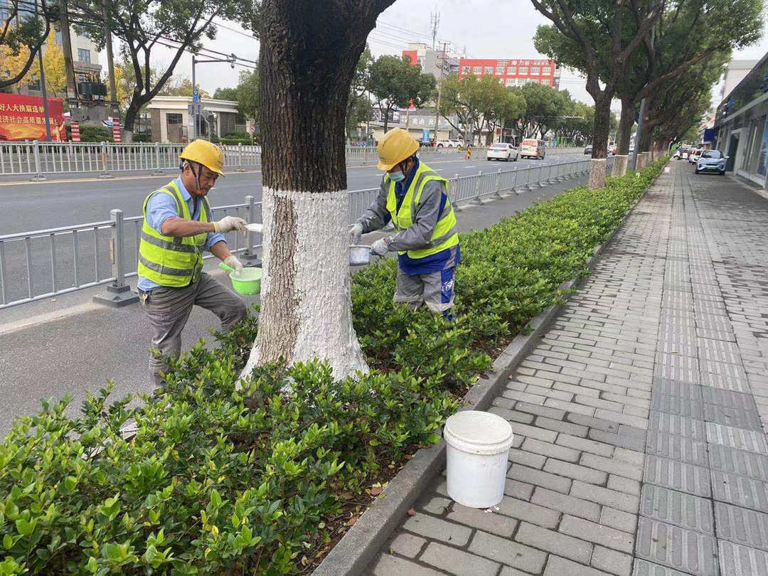 冬季绿化养护防寒措施