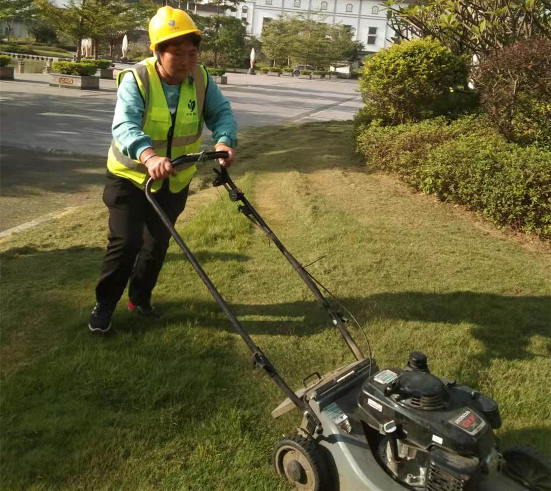 工厂园区绿化养护草坪管理