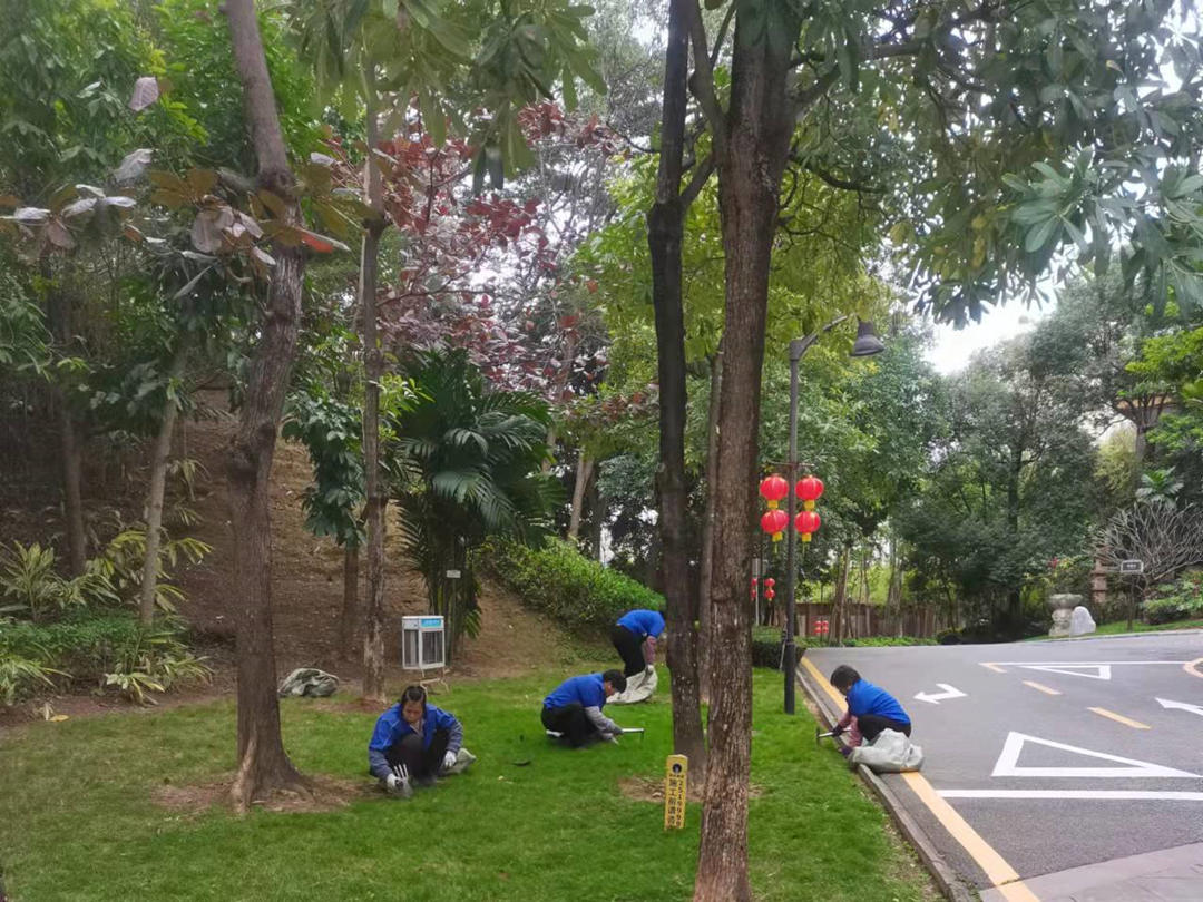 园林绿化养护工人正在清理杂草