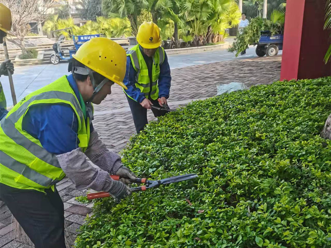 广东怡轩园林绿化公司工人修剪灌丛