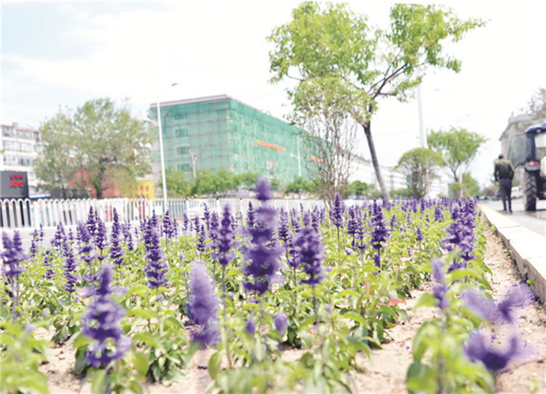 吉林省延吉市：积极加快推进城市园林绿化提升工程，迎接延边建州70周年！