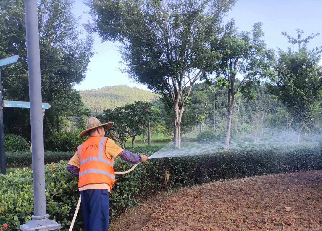 怡轩园林绿化公司工人正在给植物浇水