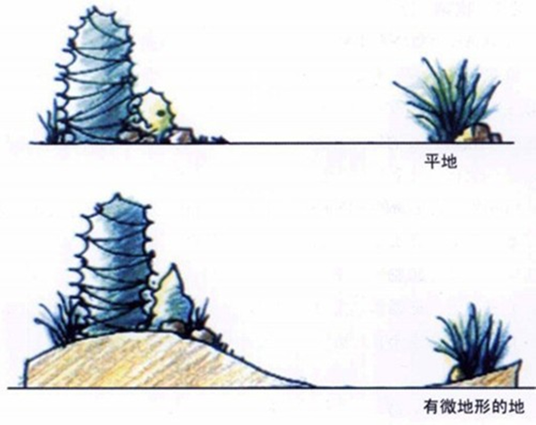 私家庭院园林绿化工程地形设计