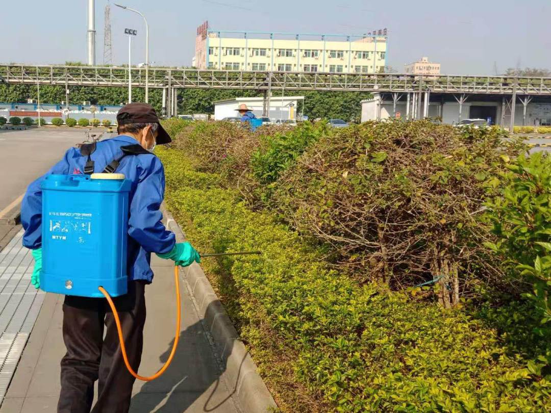 园林绿化工程病虫害防治