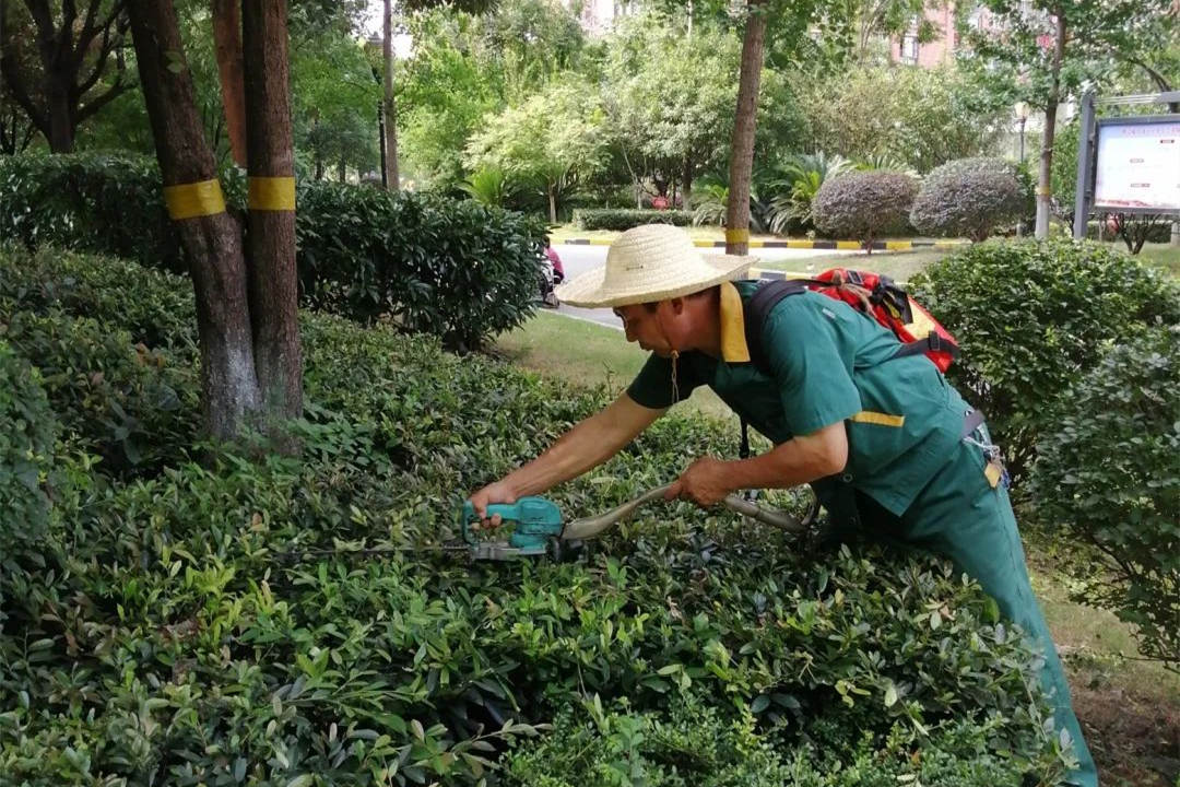 绿化养护修剪
