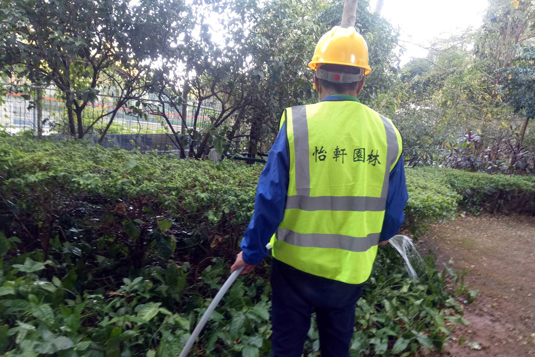 夏季绿化养护浇水