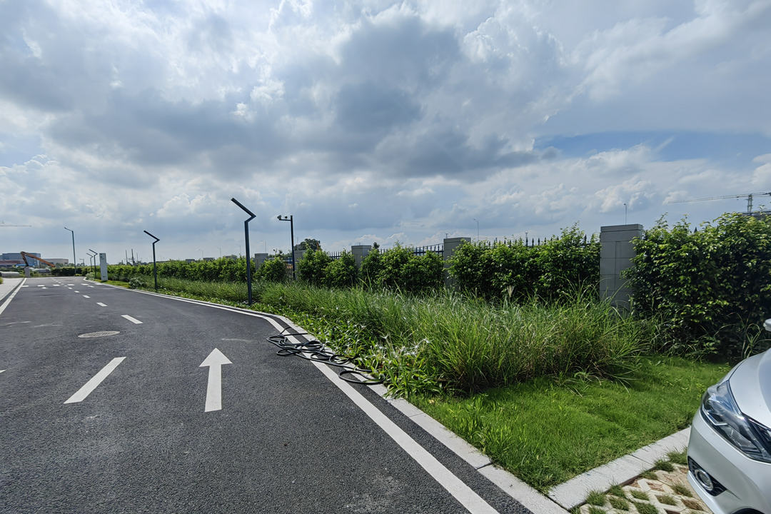 道路绿化设计灌木地被的选择