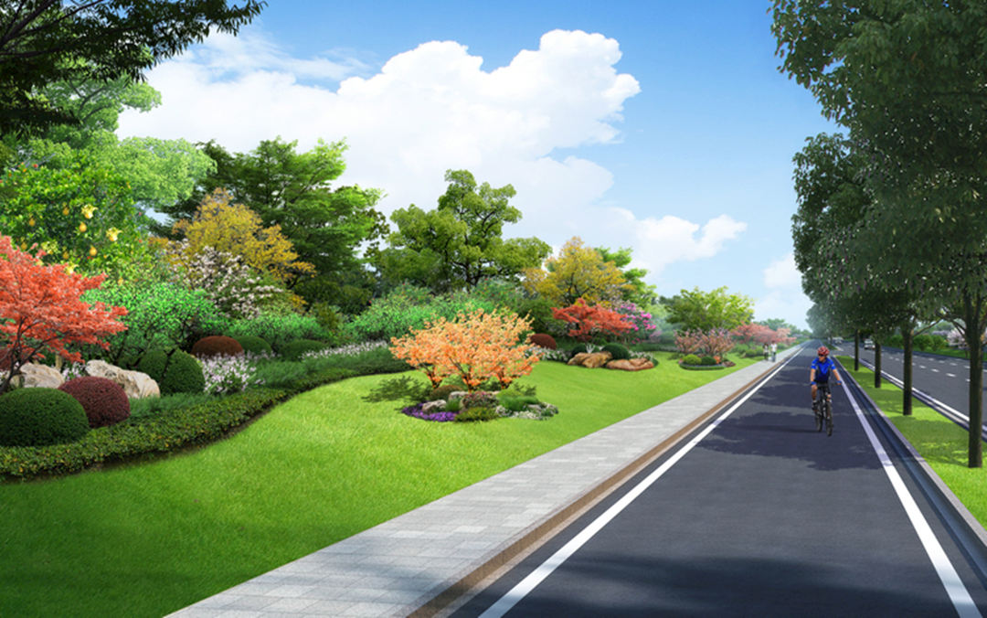 道路绿化设计