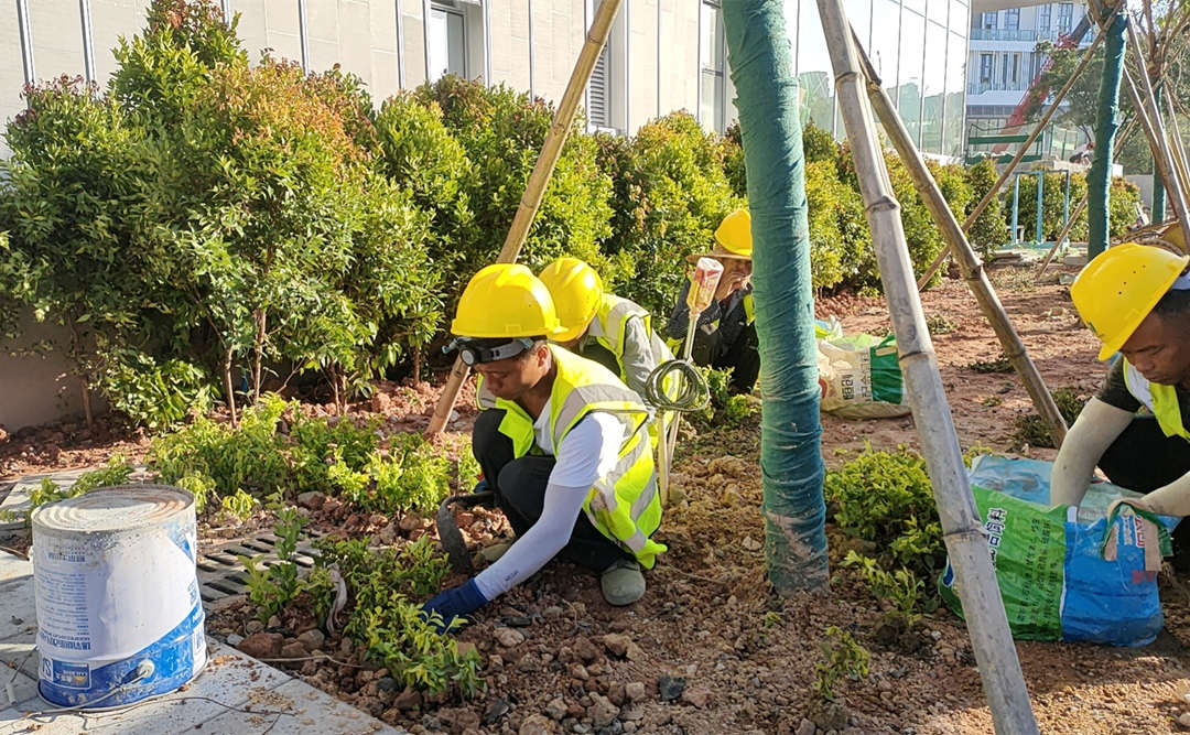 园林绿化工程施工种植