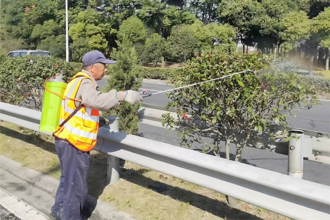 道路绿化养护