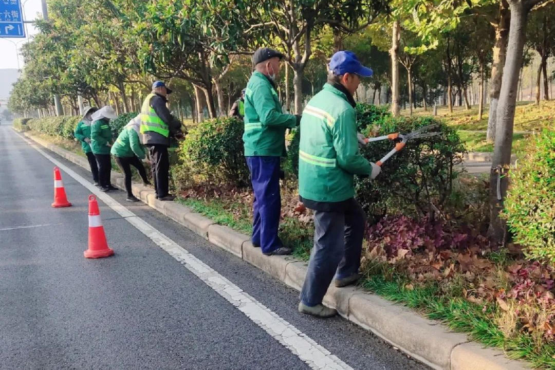 冬季园林绿化养护修剪