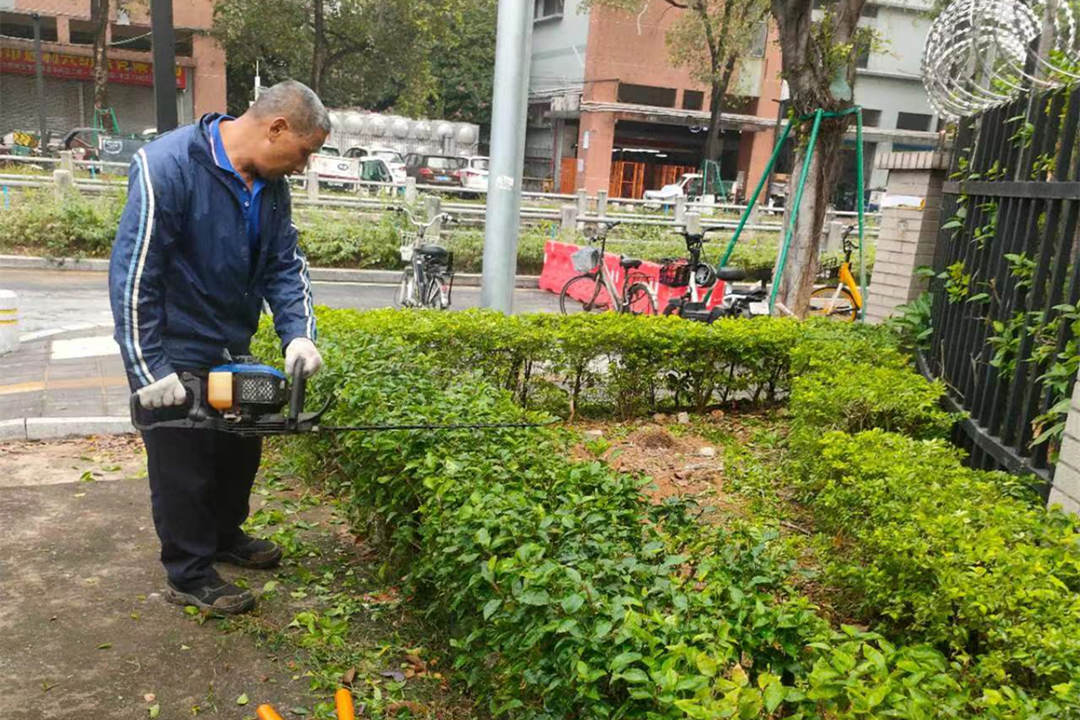 小区绿化养护修剪