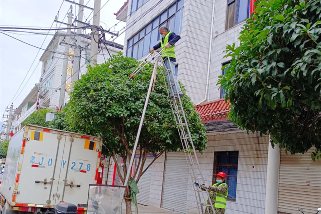 节后绿化养护修剪工作
